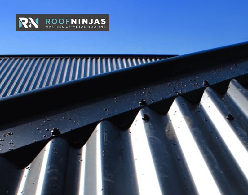 Roof Ninjas Recruitment